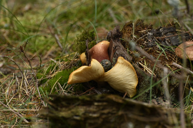 Similar image 21651537