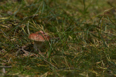 Similar image 21651539