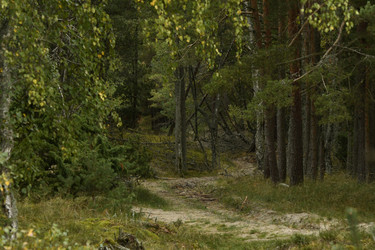 Similar image 21651545