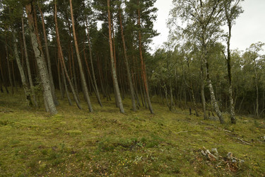 Similar image 21651553