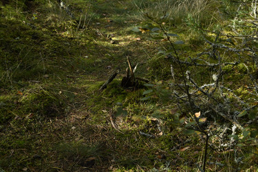 Similar image 21651554