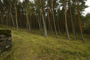 Similar image 21651555