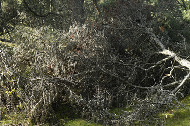 Similar image 21651556