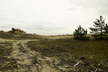 Similar image 21651557