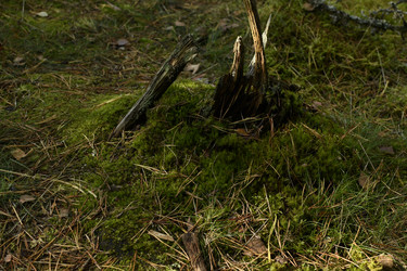 Similar image 21651558