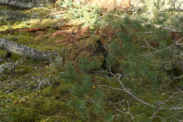 Similar image 21651560