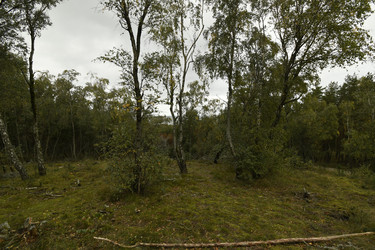 Similar image 21651561