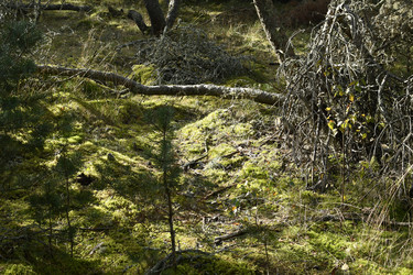 Similar image 21651562