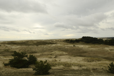 Similar image 21651563