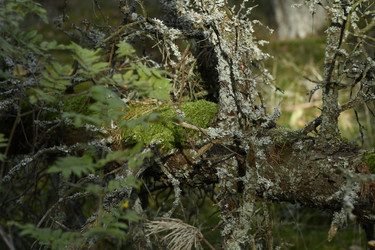 Similar image 21651564