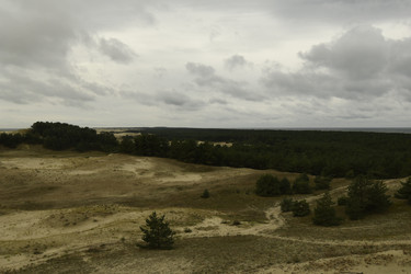 Similar image 21651565