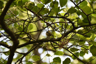 Similar image 21651566