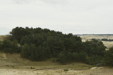 Similar image 21651567