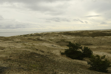 Similar image 21651568