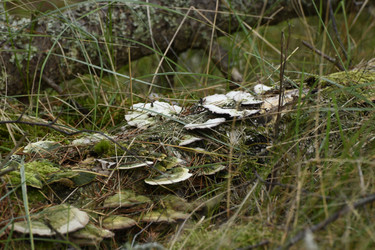 Similar image 21651570