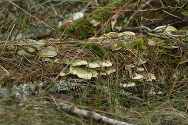 Similar image 21651572