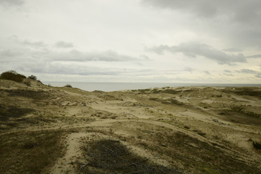 Similar image 21651573