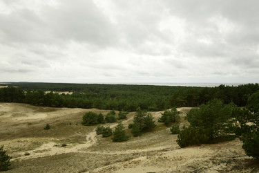 Similar image 21651575