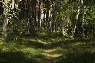 Similar image 21651576