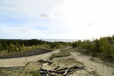 Similar image 21651578