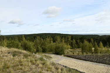 Similar image 21651580