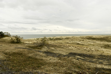 Similar image 21651581