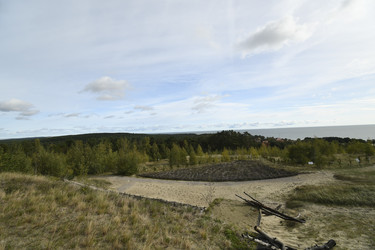 Similar image 21651776