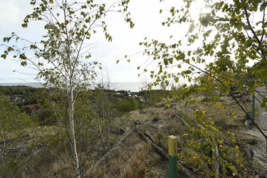 Similar image 21651777