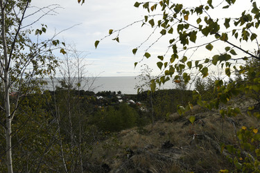 Similar image 21651779