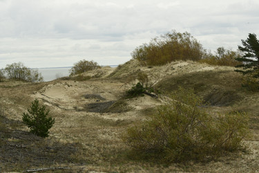 Similar image 21651780