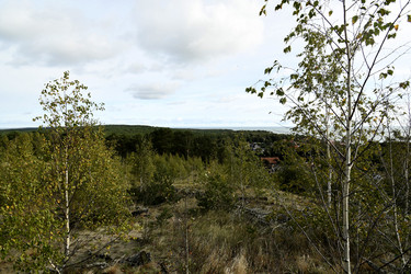 Similar image 21651781