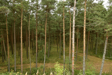 Similar image 21651782