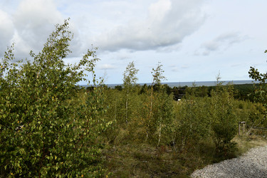 Similar image 21651783