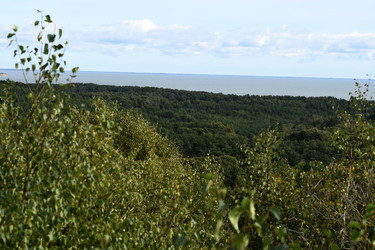 Similar image 21651784