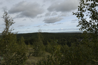 Similar image 21651785