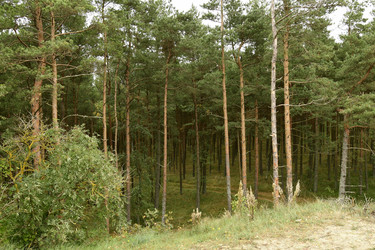 Similar image 21651786