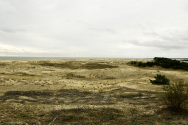 Similar image 21651788