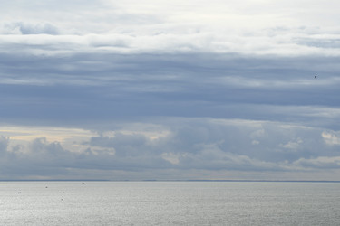 Similar image 21651791