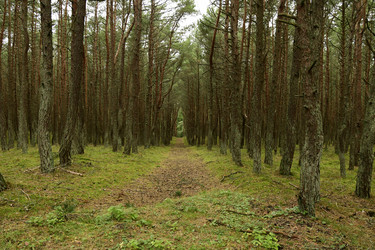 Similar image 21651792