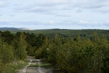 Similar image 21651793