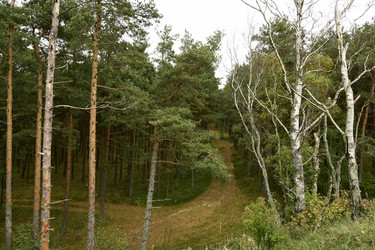 Similar image 21651794