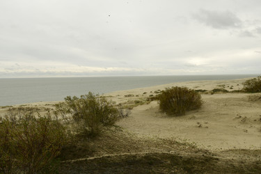 Similar image 21651796