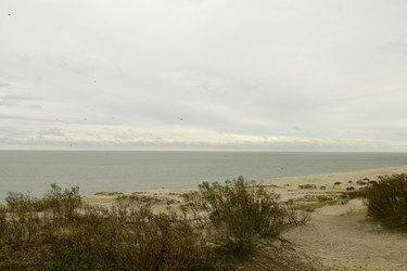 Similar image 21651797