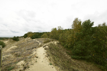 Similar image 21651798