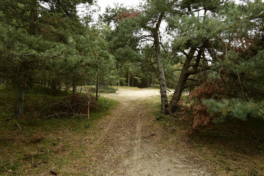 Similar image 21651800