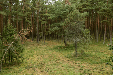 Similar image 21651801