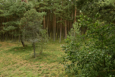 Similar image 21651802