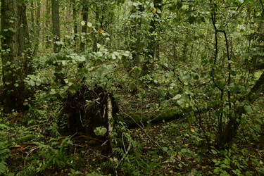 Similar image 21651803