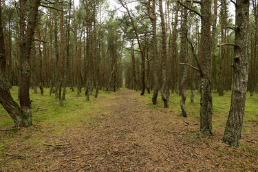 Similar image 21651583