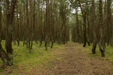 Similar image 21651584